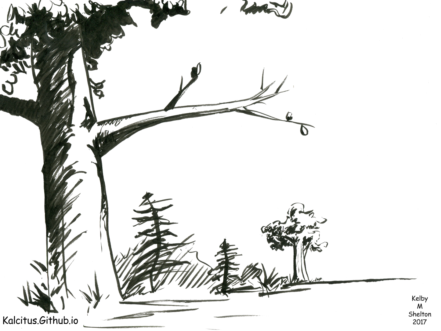 Artwork - Kelby Shelton - Brush Pen Tree (Ink)