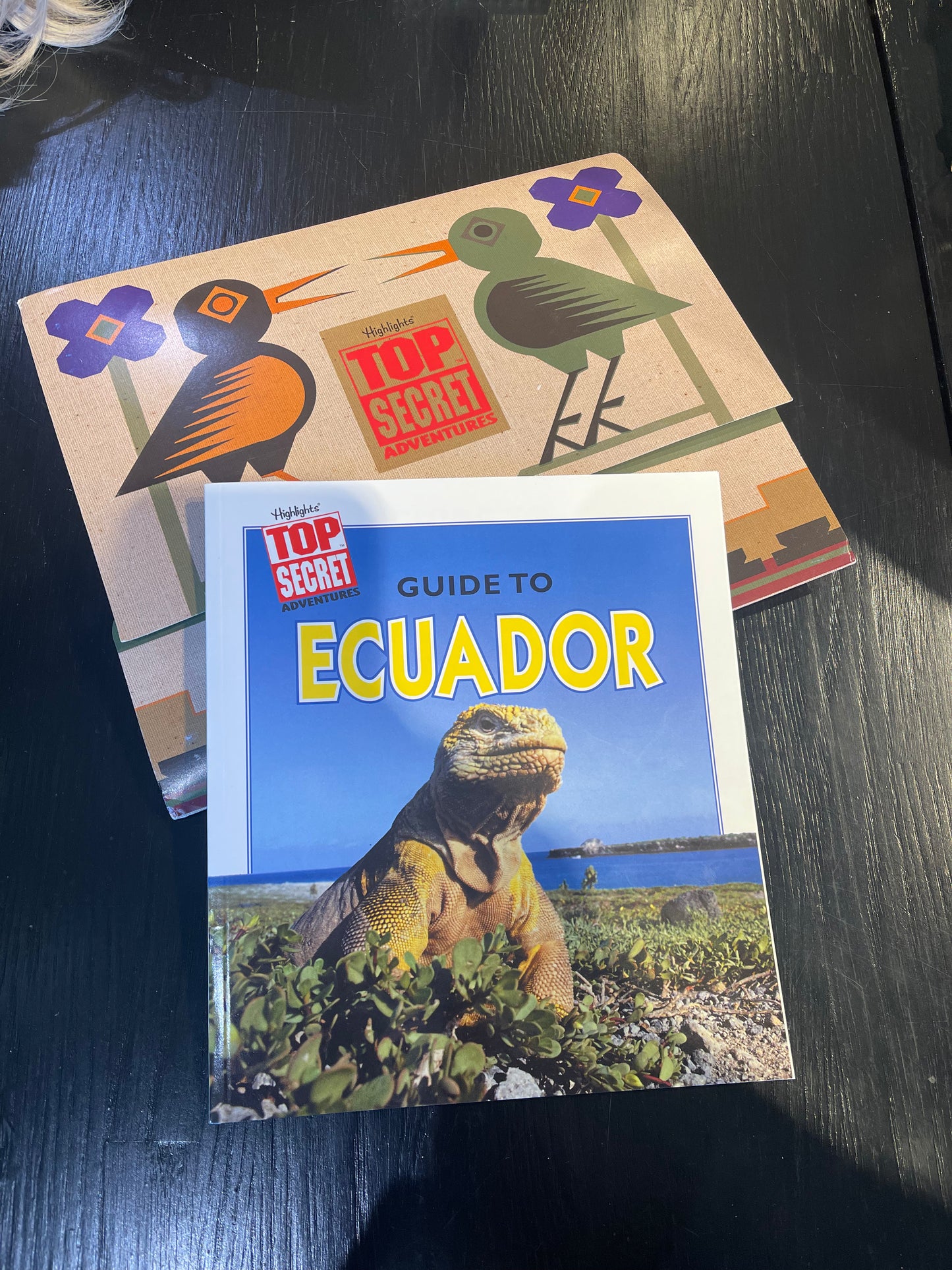 Highlights: TOP SECRET ADVENTURES. The Query in Quito