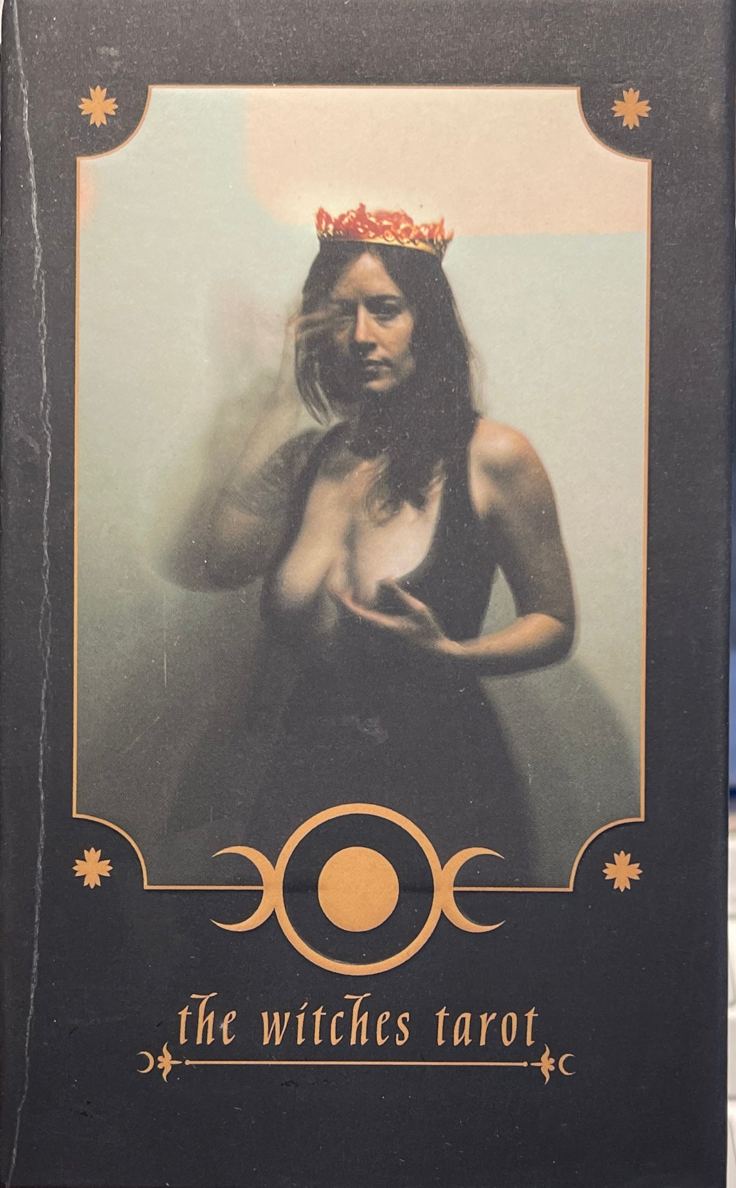 the Witches Tarot by artist Chris Madsen