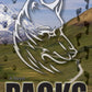 Packs - A Novel by D.T. Kizis