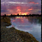 6 Greeting Card set by Buddy Van Buren