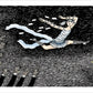 Edward Gorey: Mysterious Messages, Cryptic Cards, Coded Conundrums, Anonymous Notes Book of Postcards