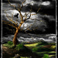 6 Greeting Card set by Buddy Van Buren