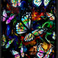 6 Greeting Card set by Buddy Van Buren