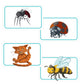 Concept Kids